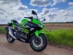 IMG_20180513_112031.jpg